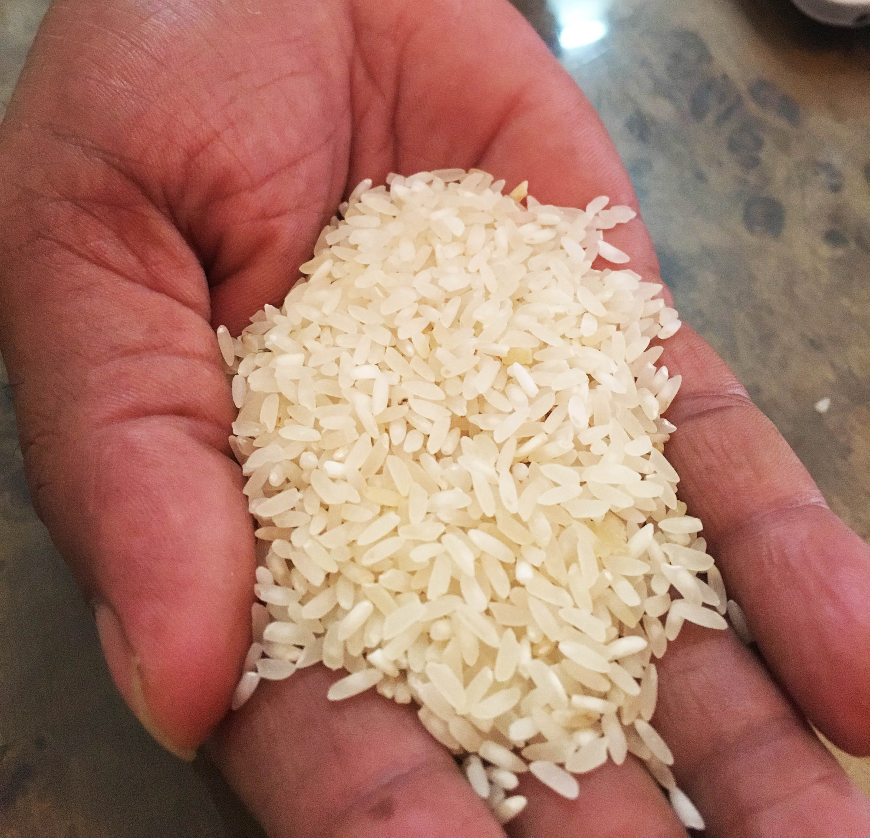 Kalanamak Rice wholesale supply India