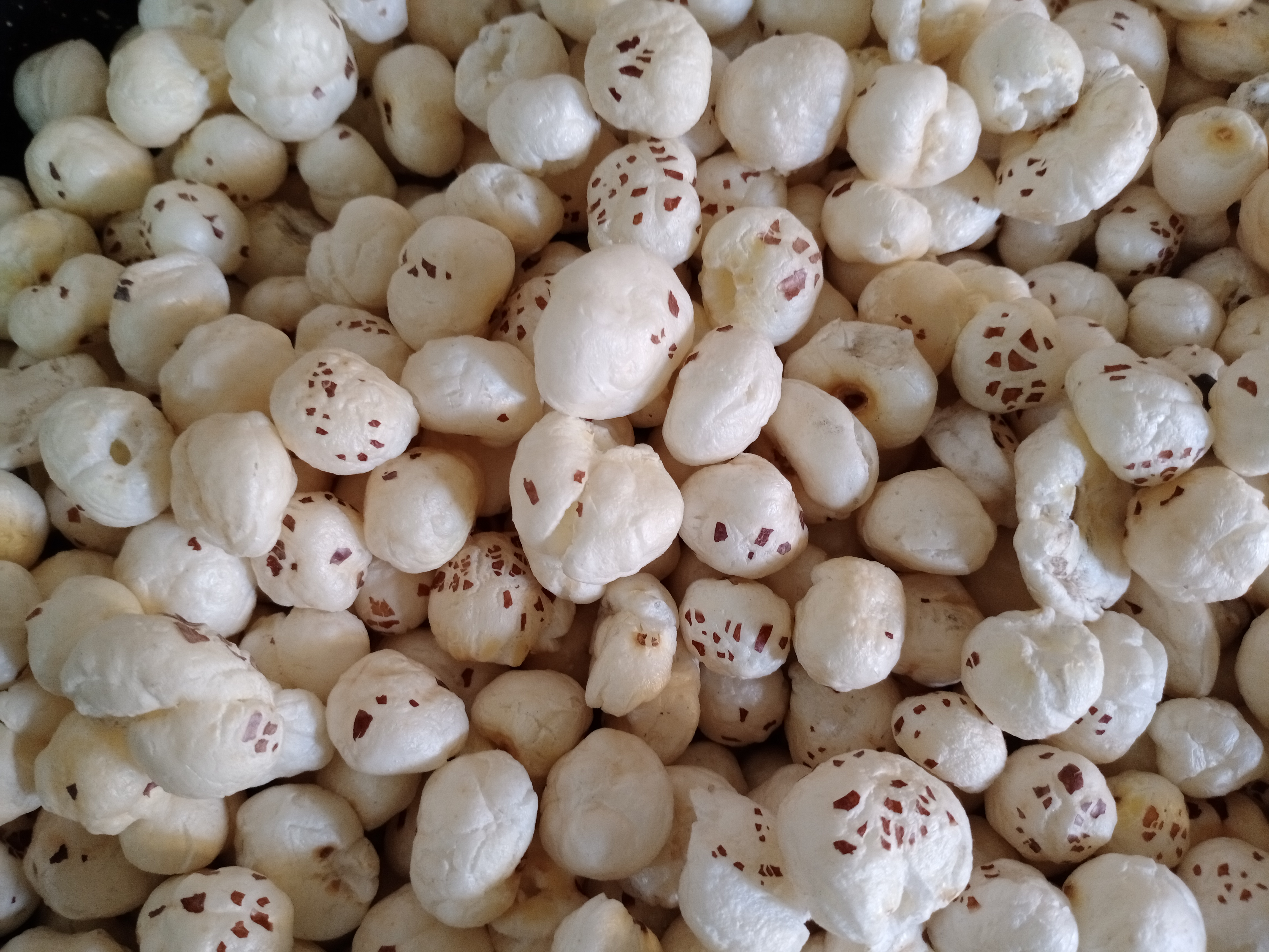Kashi Exports Agricultural Trade and Logistics